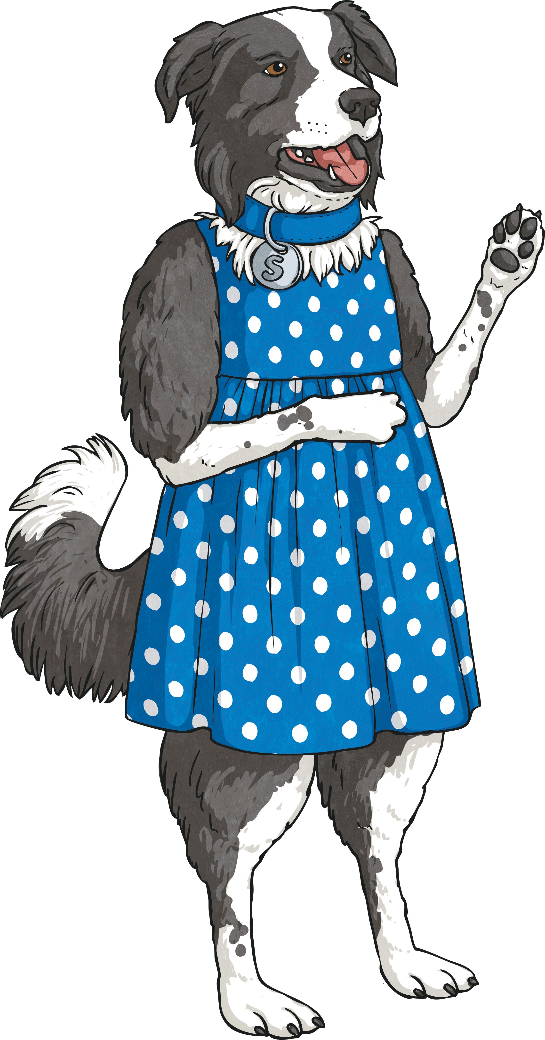 Summarising-Sheba-Full-Body--Dog-Border-Collie-Reading-Skills-Classic-English-KS2-colour_RGB.png