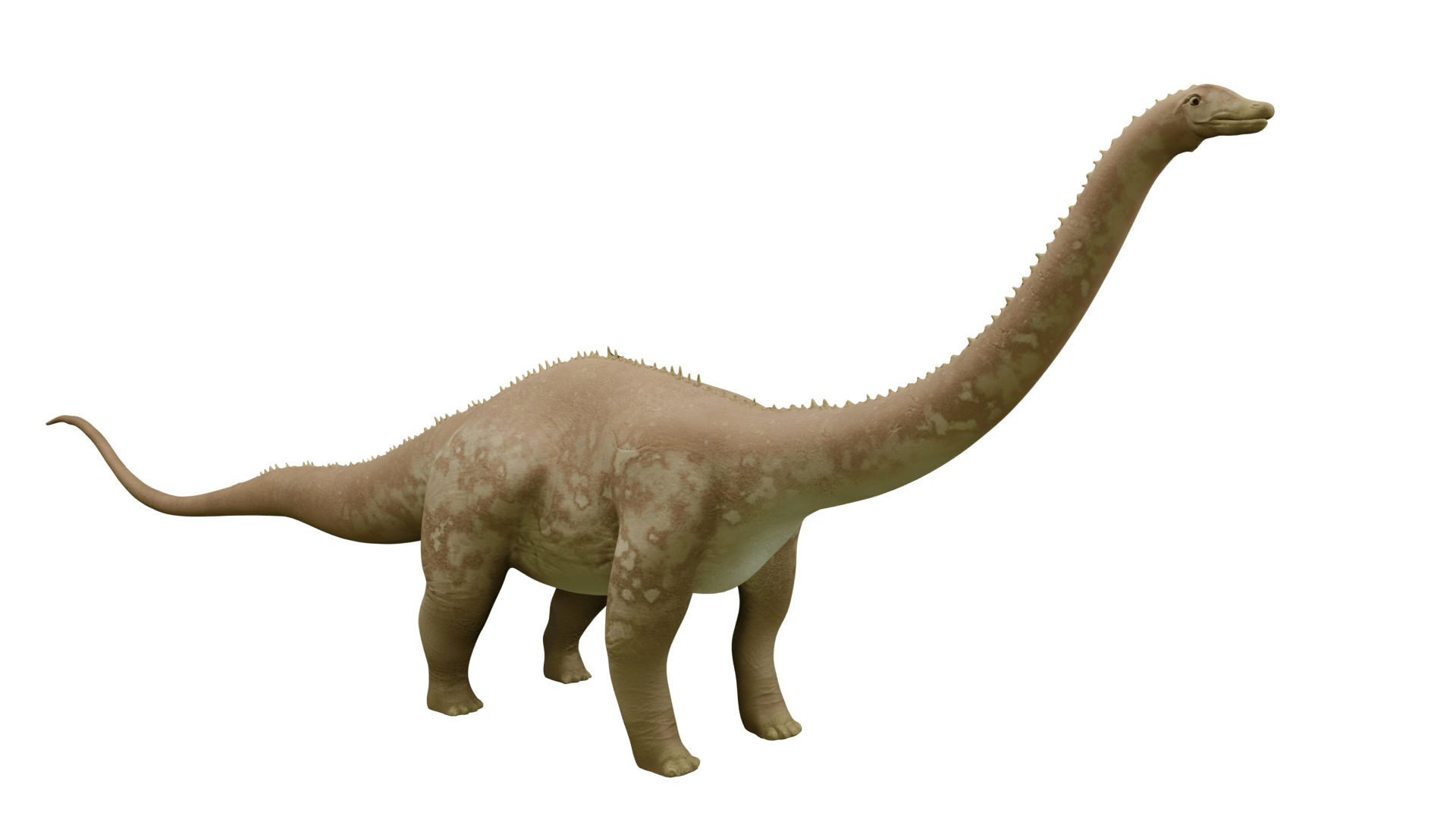 5._Diplodocus.png