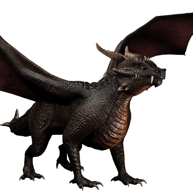 8._Dragon_800x800.png